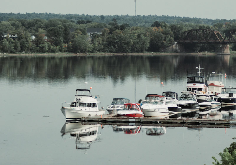 Boats docked on the Saint John River in Fredericton, with the walking bridge in the background